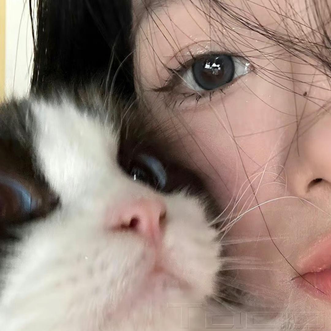 重生之我在恩施做金融