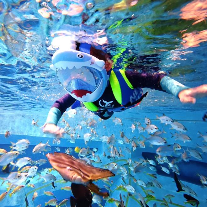 艾汕嘉梦教练团队（上海海昌店）