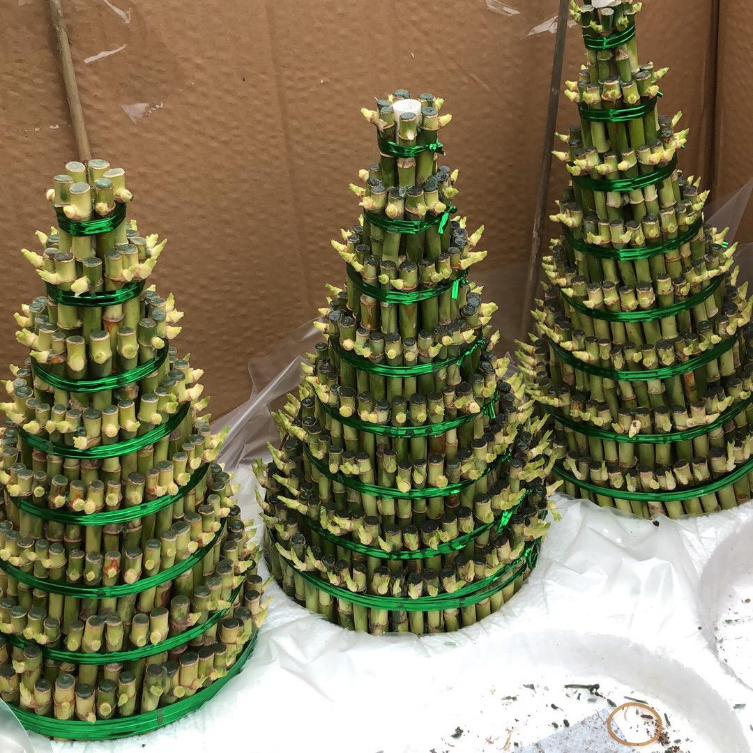 请叫我、王老实