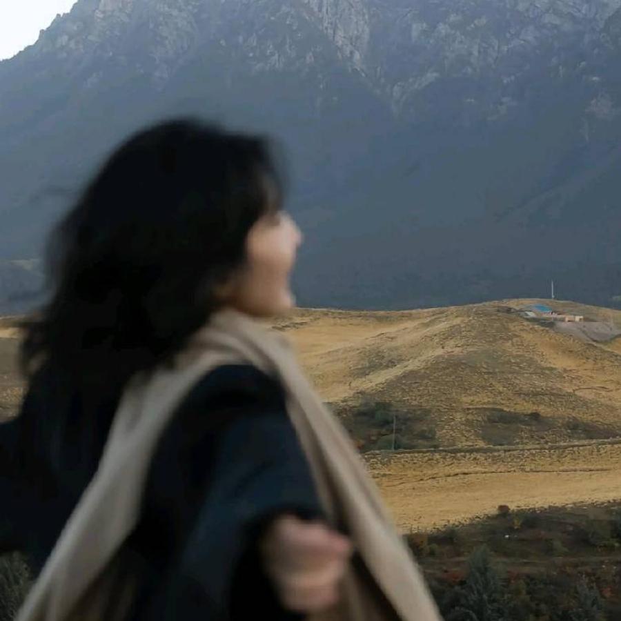 午夜伤感的总裁