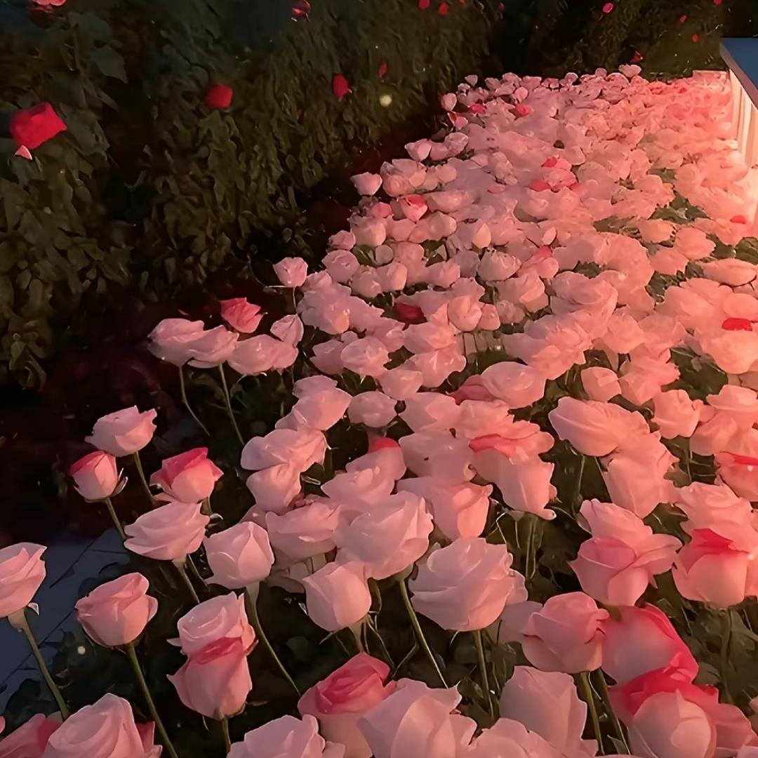 21（资源中介）百货店