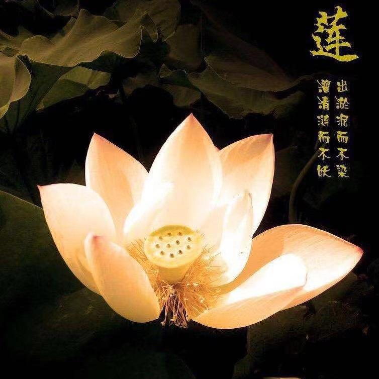 会心心理