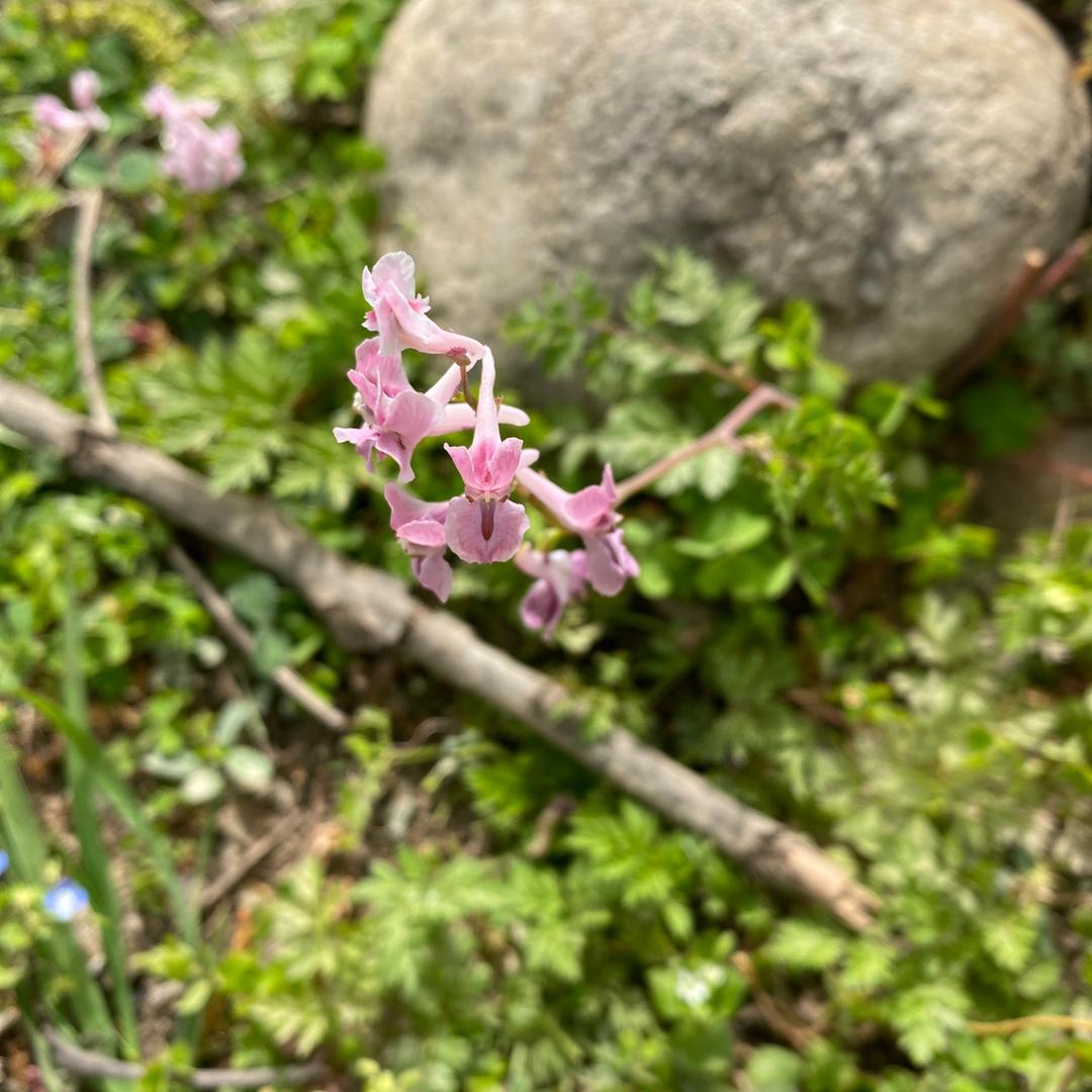 星辰的日常好物