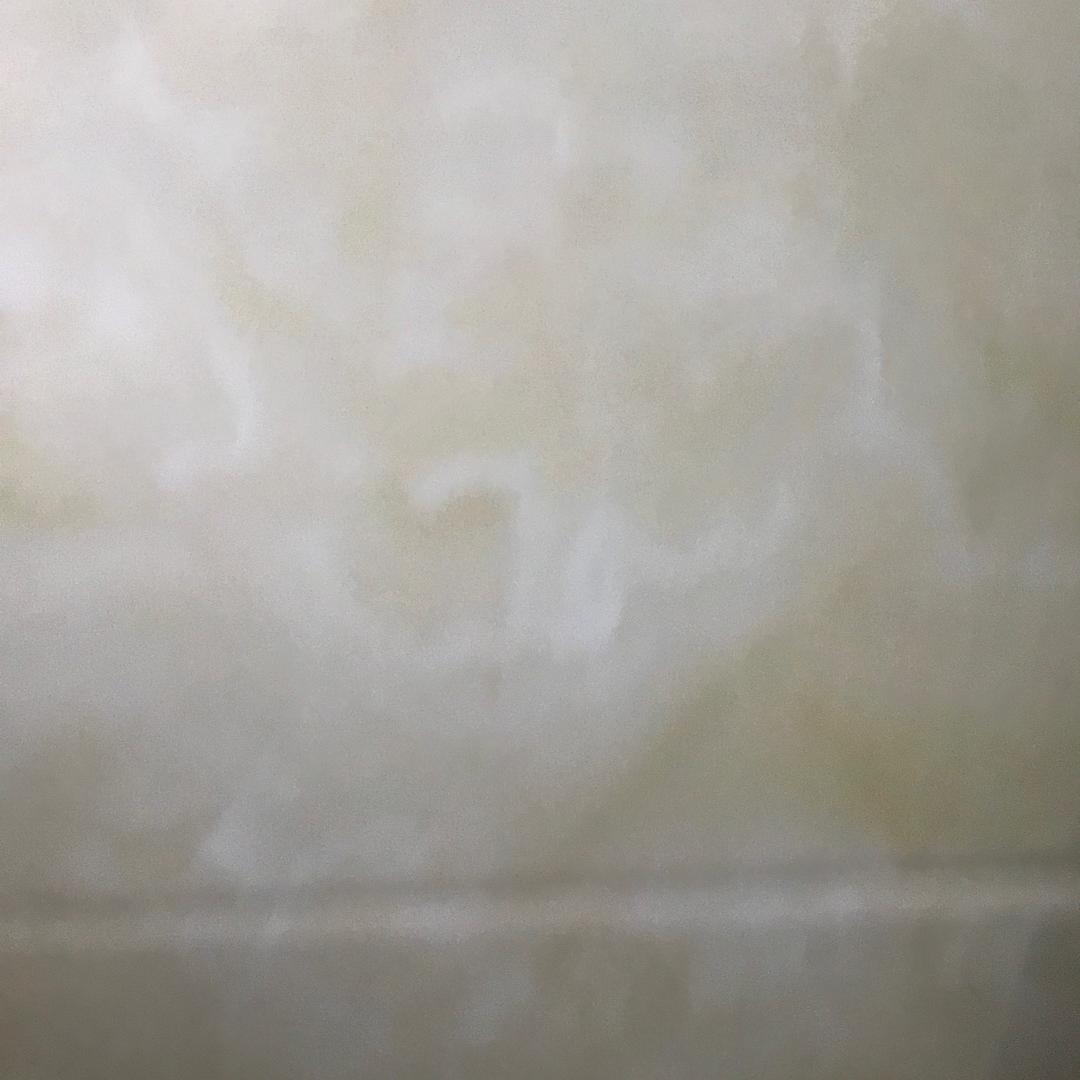 使徒阿里