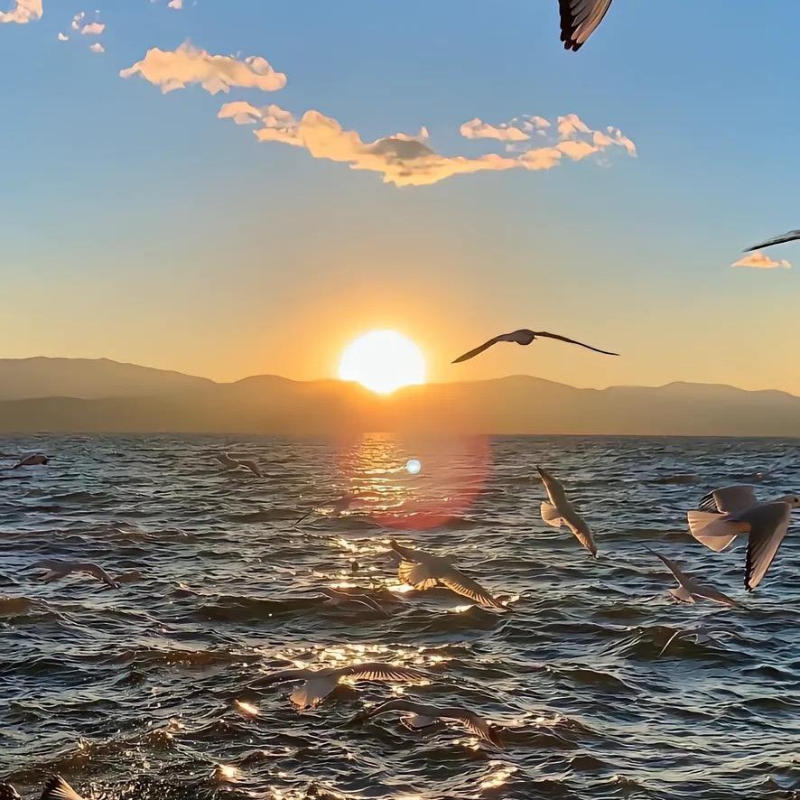 膜方3M隔热打印贴膜