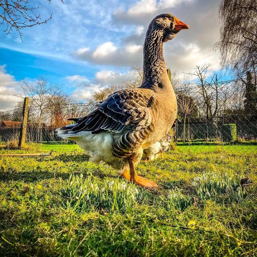 尚玉严选精品店