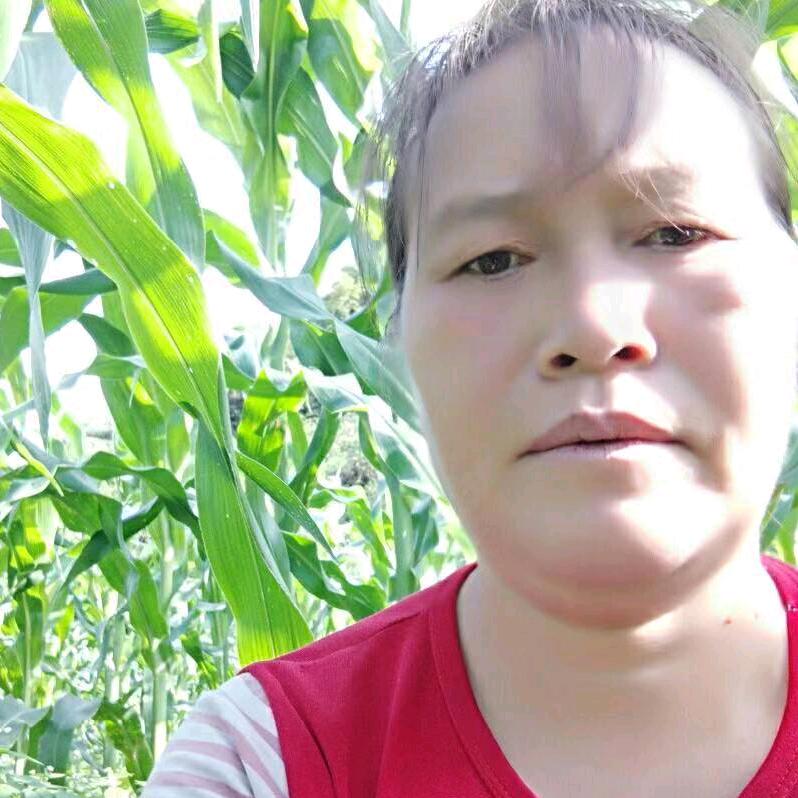 一只花