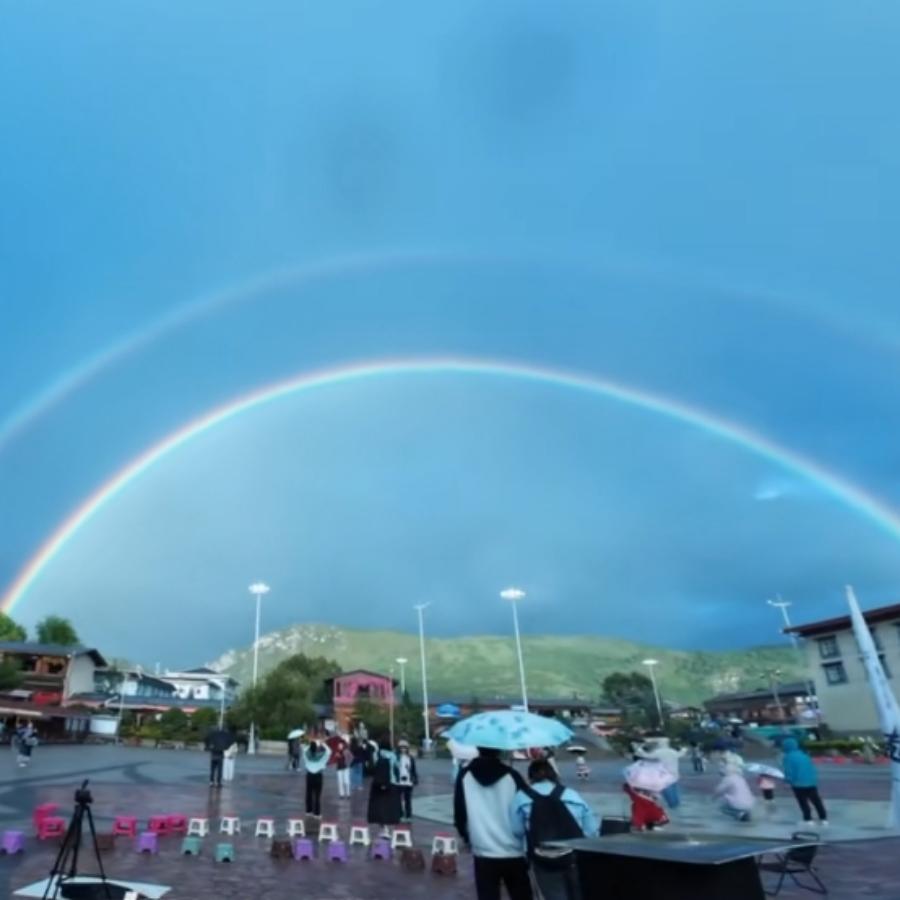 化作夏天陪着你