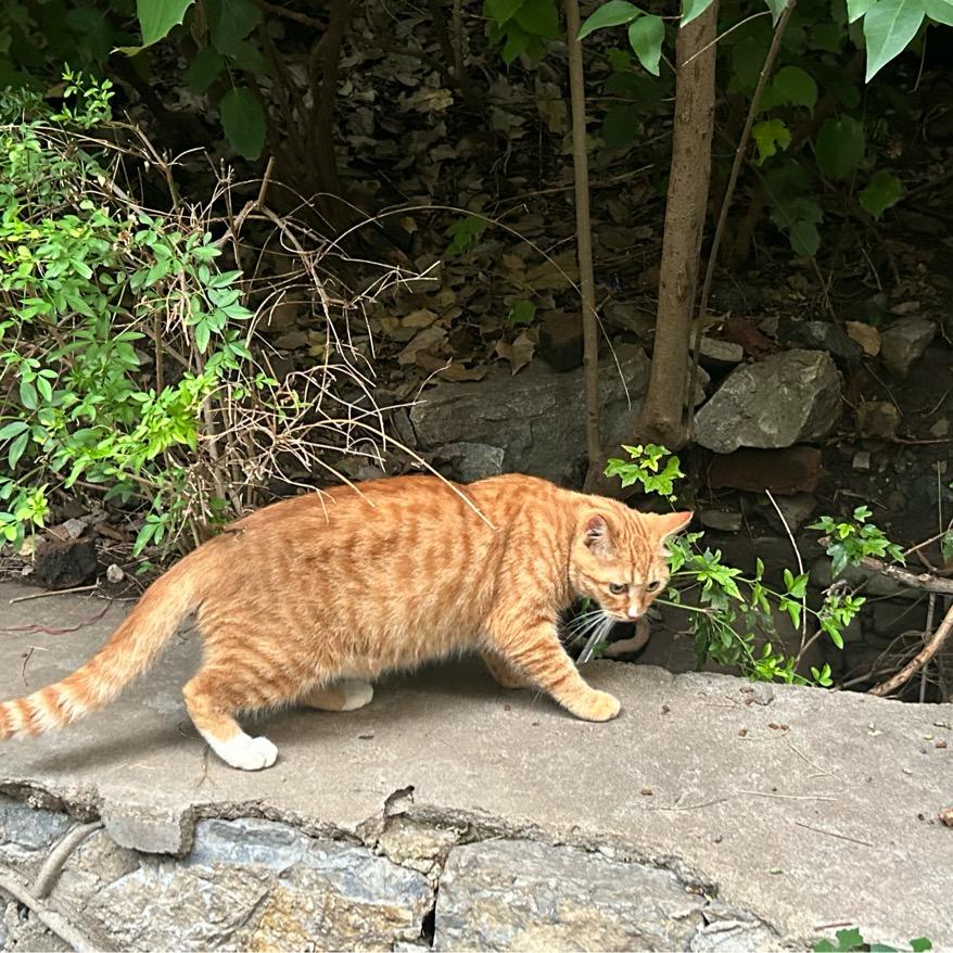 波浪号和感叹号