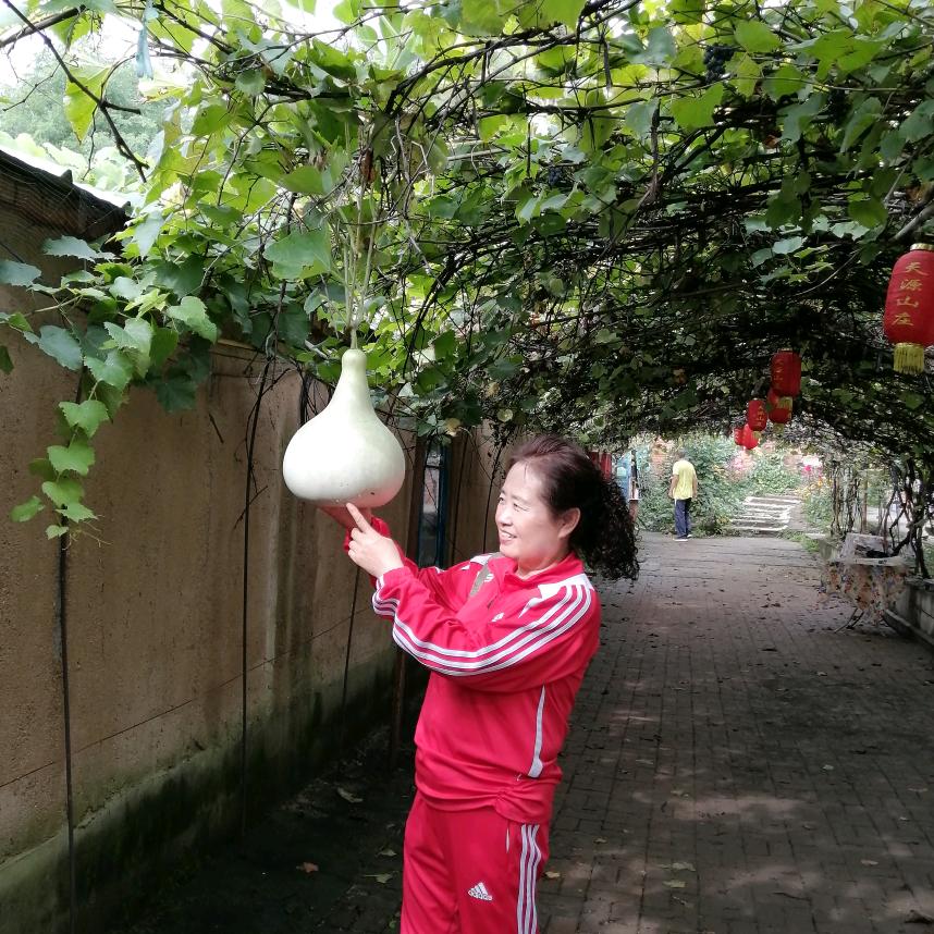 幸福女人