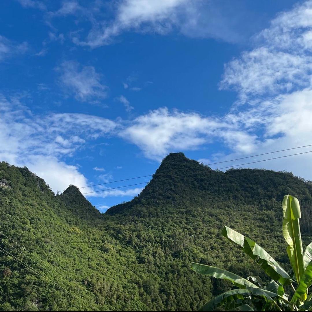 小罗的山货