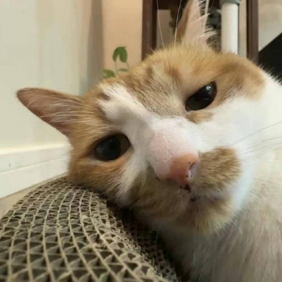 原点