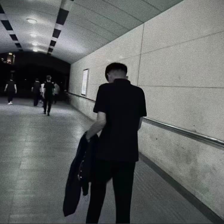 扶老蟑螂过马路被屎壳郎撞屎