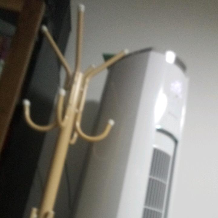 赵秀珍