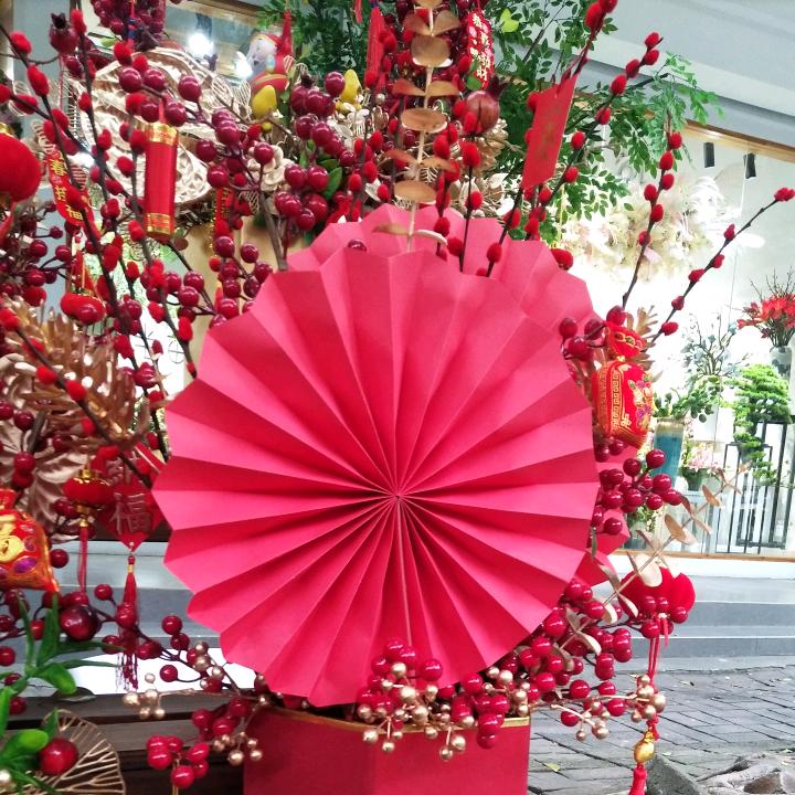 雯桦