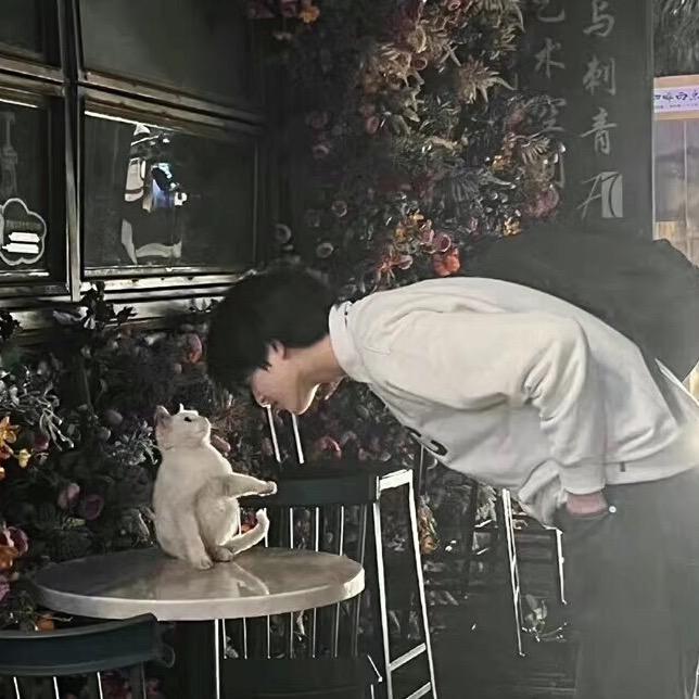 夏楠楠