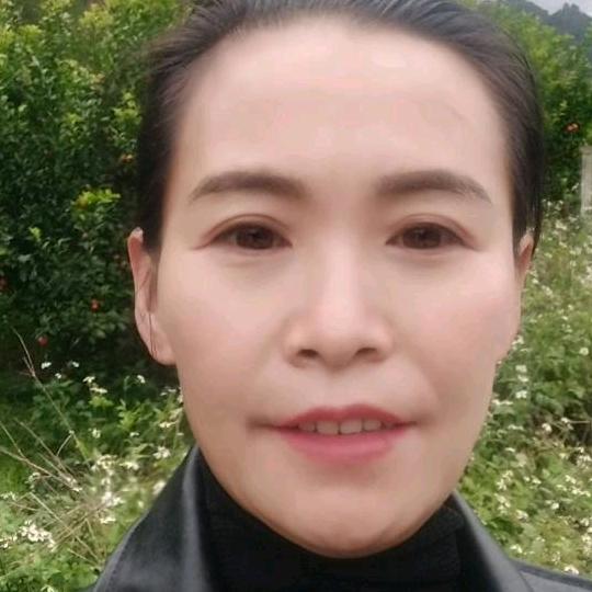 蒙秀分