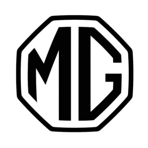 上汽MG体验中心（莲都水阁国际车城店）