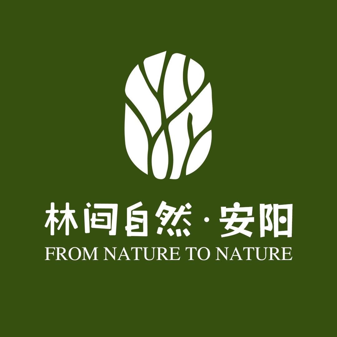 林间自然-河南安阳大本营