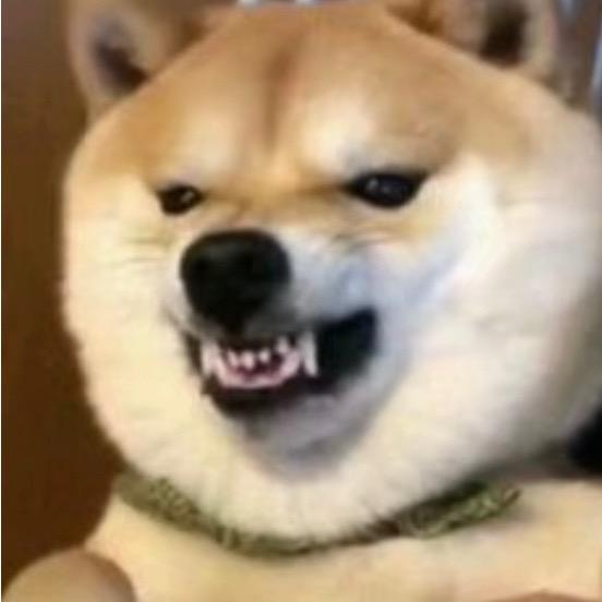 工作是不可能的头像