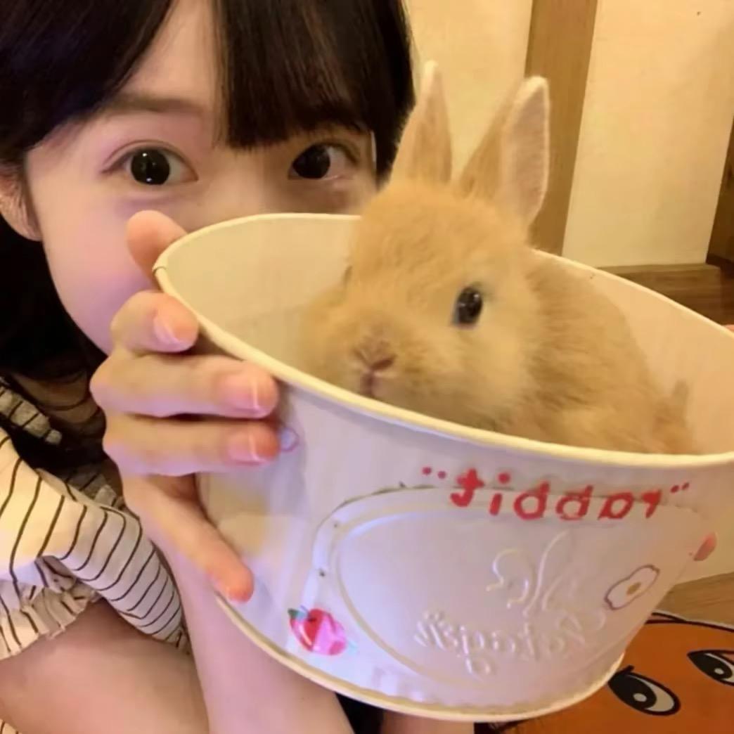 如果呢