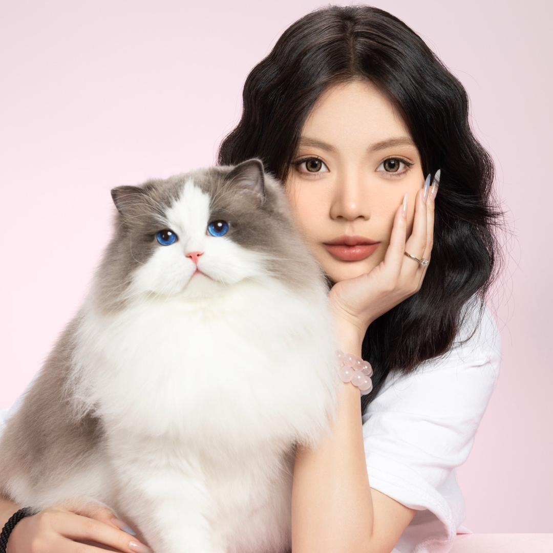 张宝彤布偶猫舍小琳·走播号