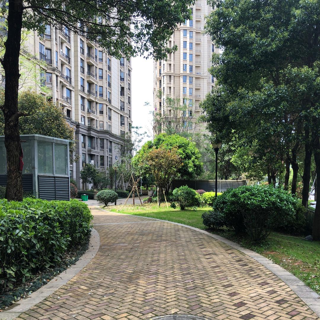 迷糊糊团子