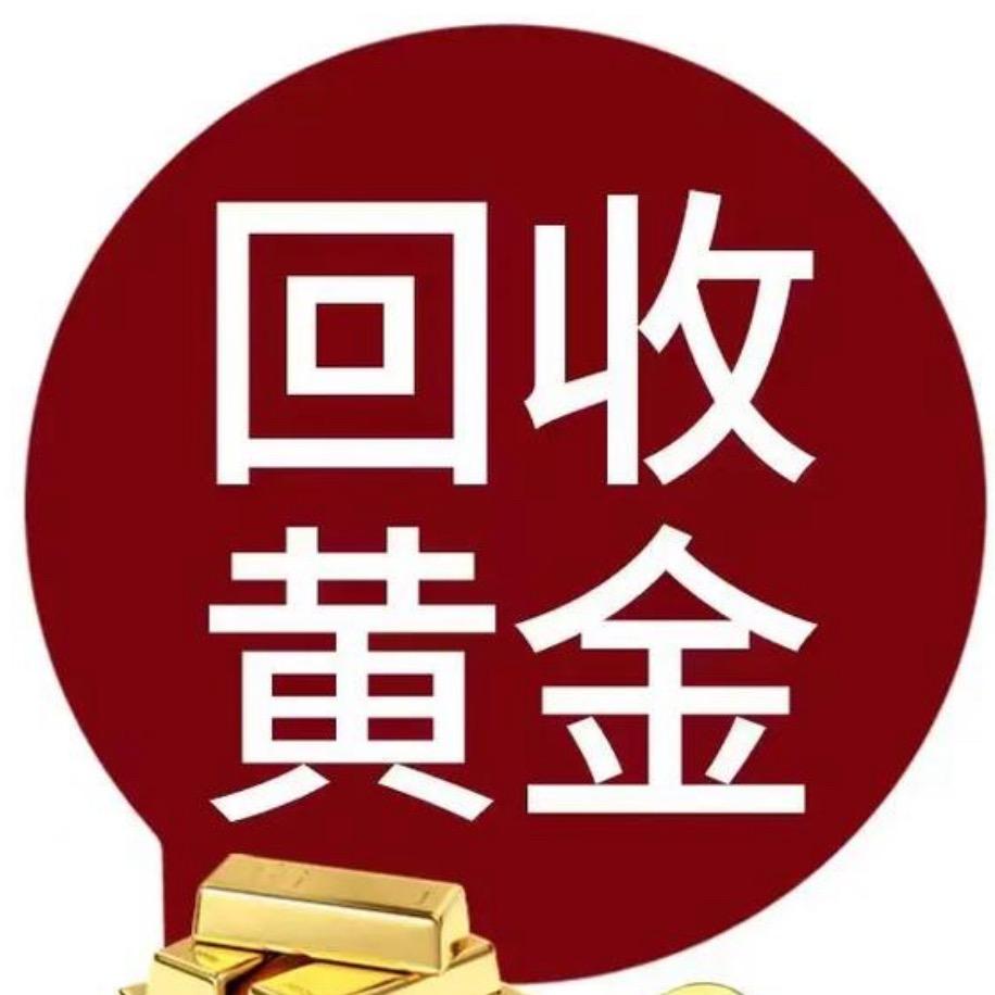 小郑黄金回受