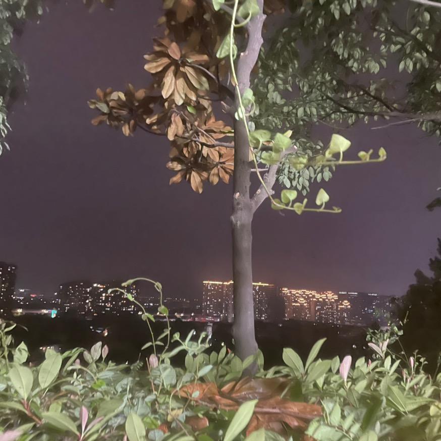 化兴栾百货工厂