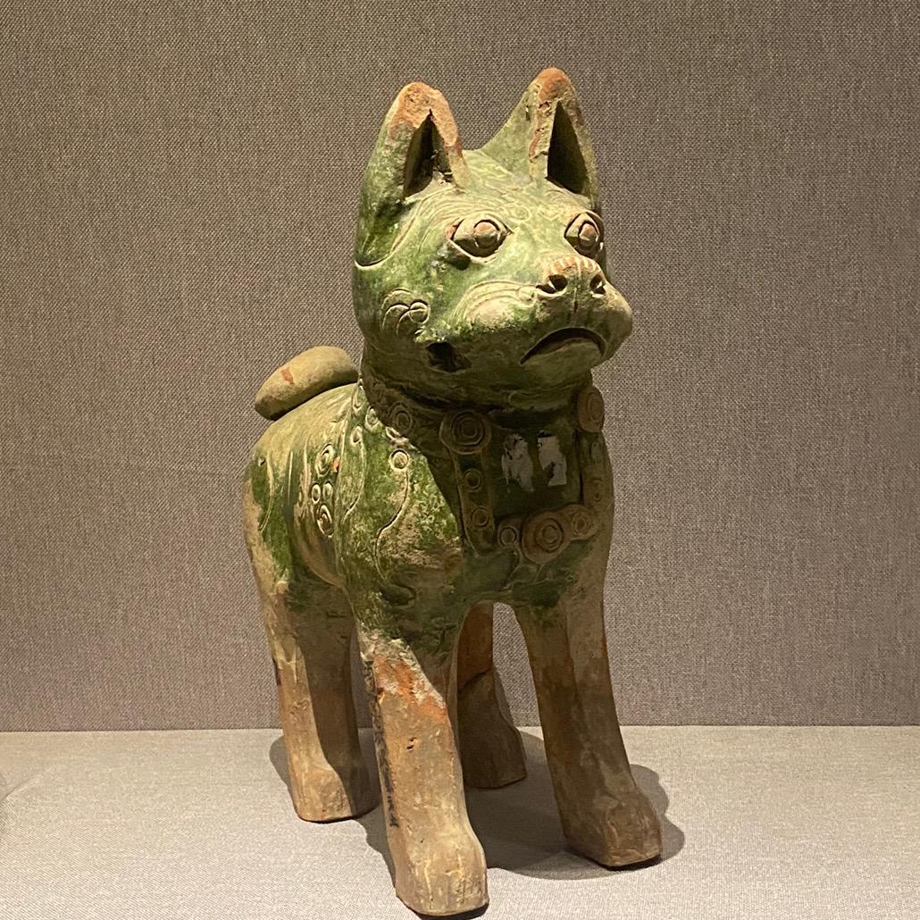 银先生的忠诚小犭句