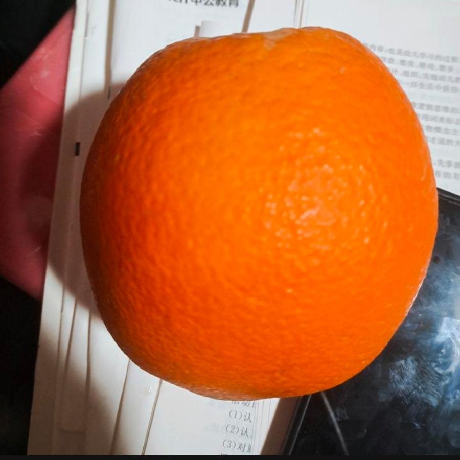 橘子