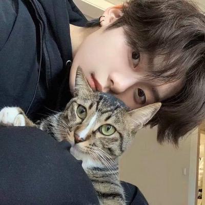 小猫挡我睡觉咯