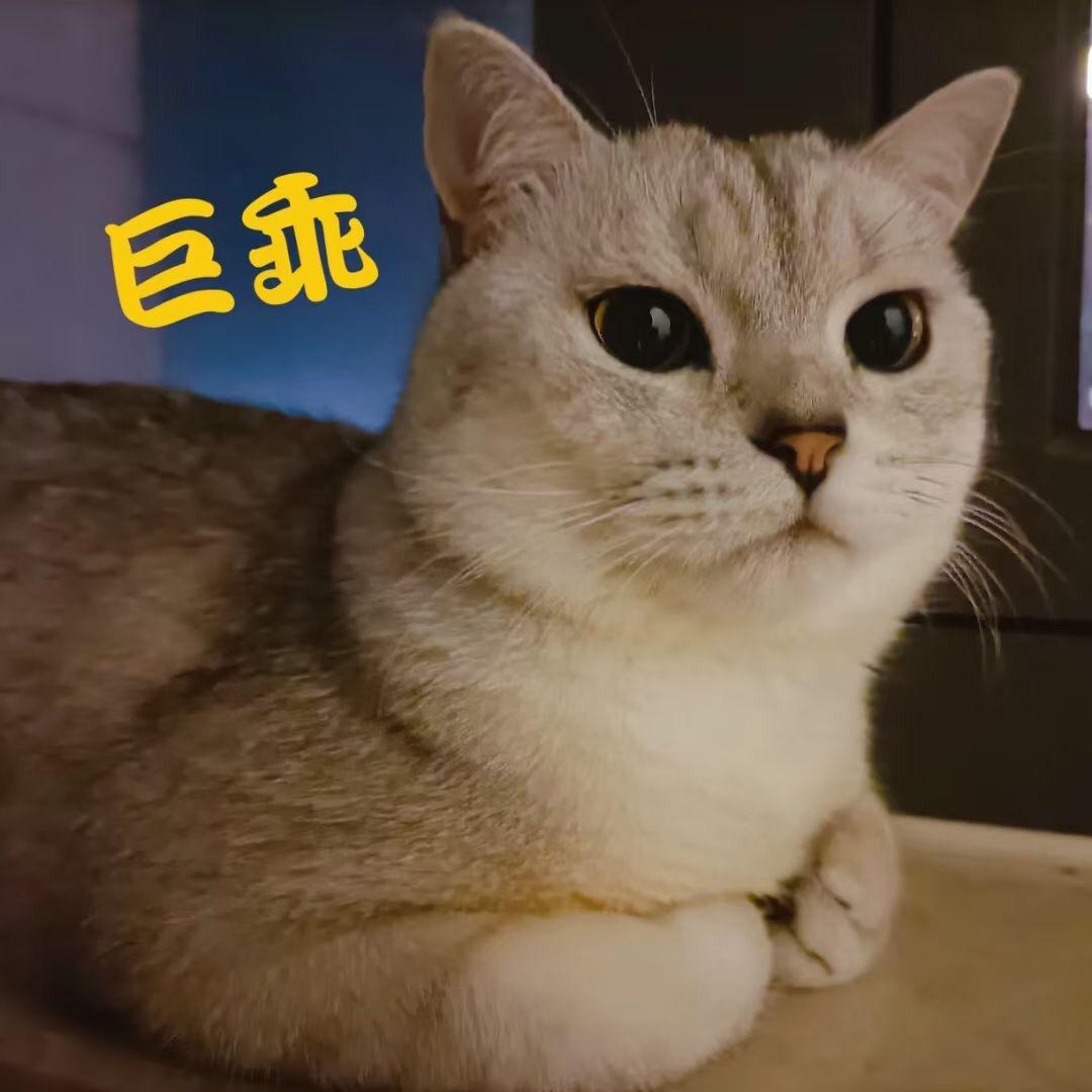L019