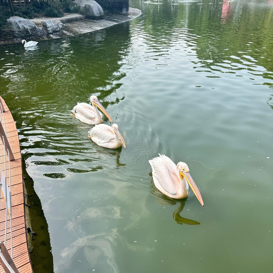 蜂乐乐