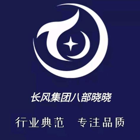 长风集团8晓晓