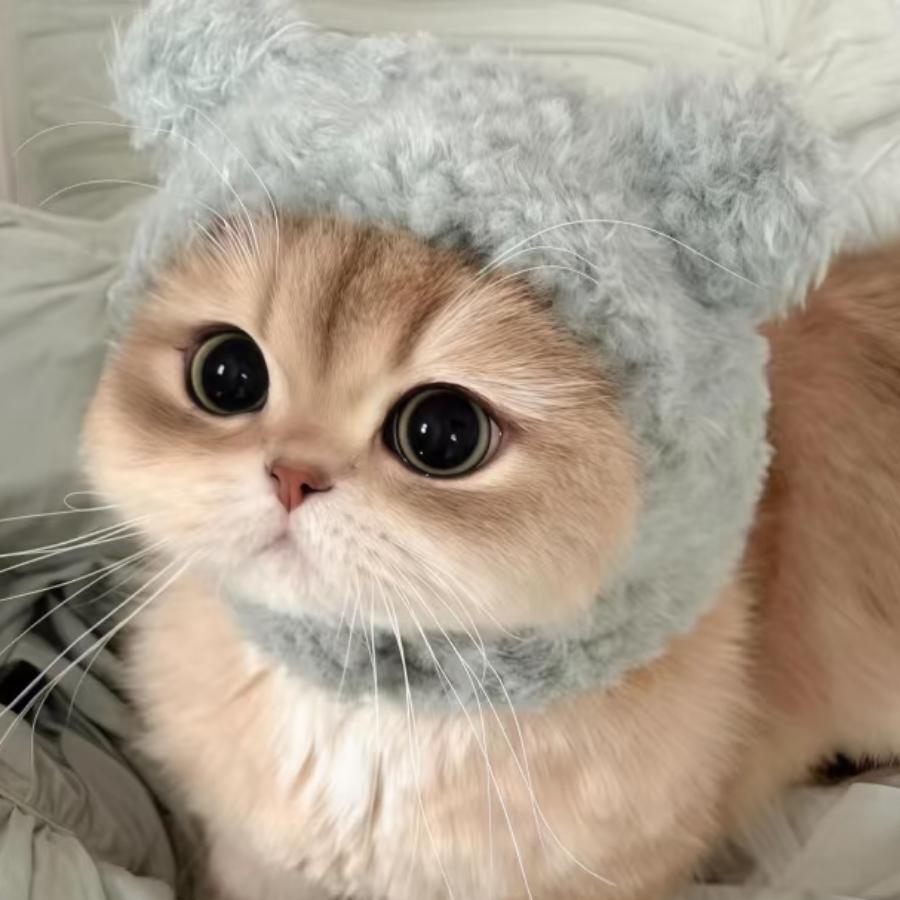 捧铭
