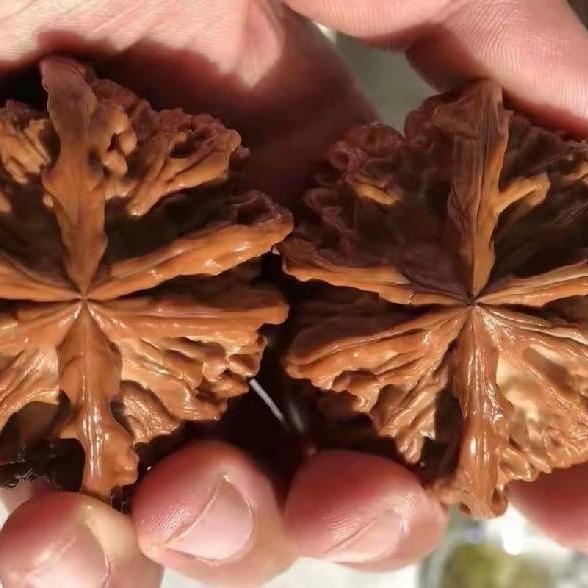 三核堂精品文玩