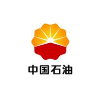 中国石油德州通力路加油站