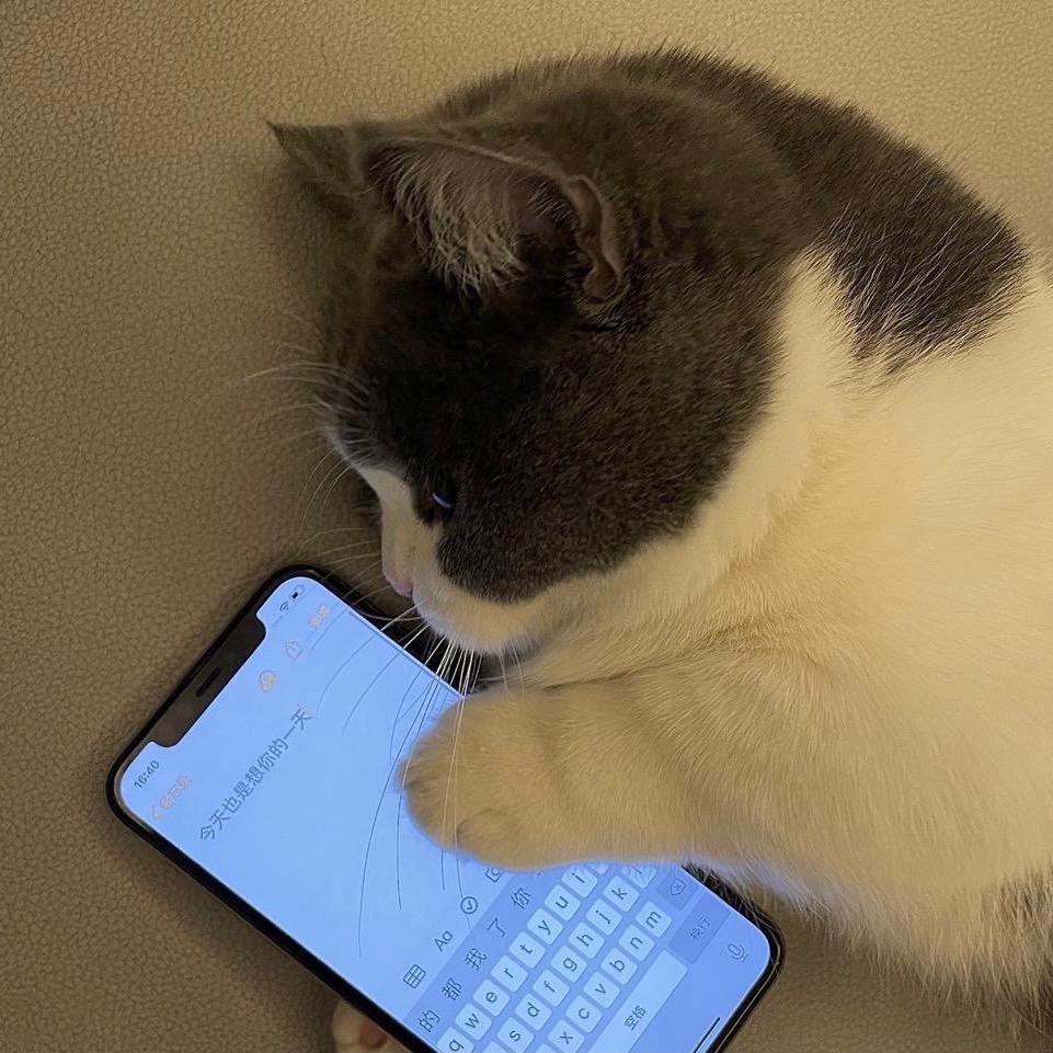 宣某想长胖