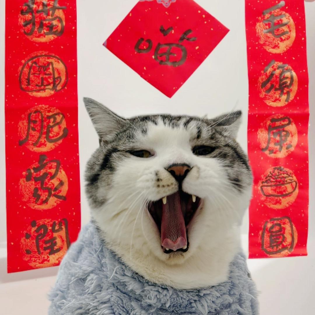 憨憨