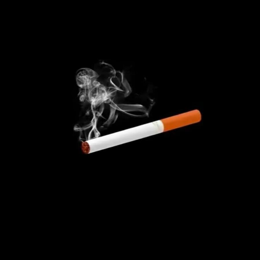实在可爱