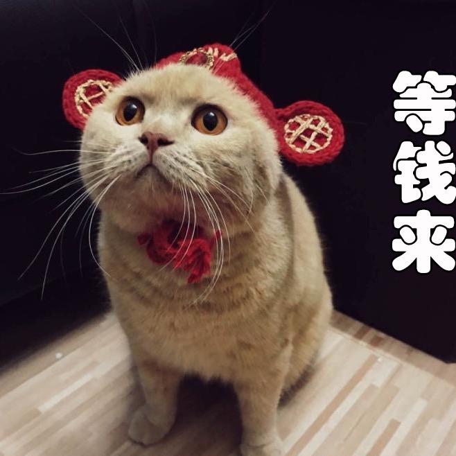 奋斗少年冲冲冲