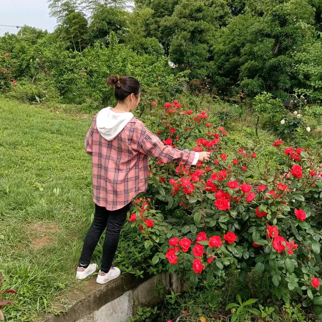 白发一族小李姐姐