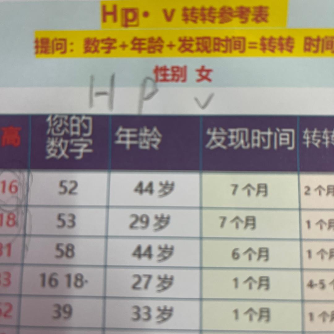 文主任助理刘文