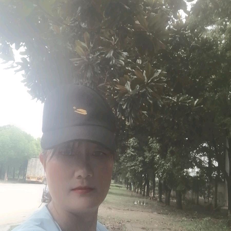 醉的蝴蝶