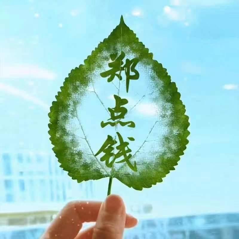 天津金融顾问小江