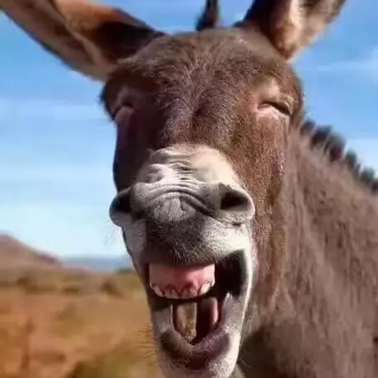 笑与驴