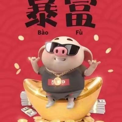 小明✌️（养猪）