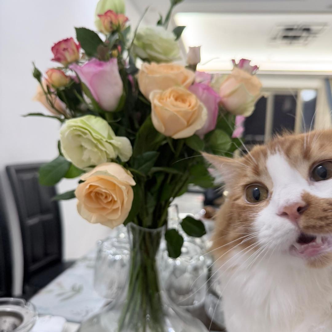 美美市井地摊火锅官方号