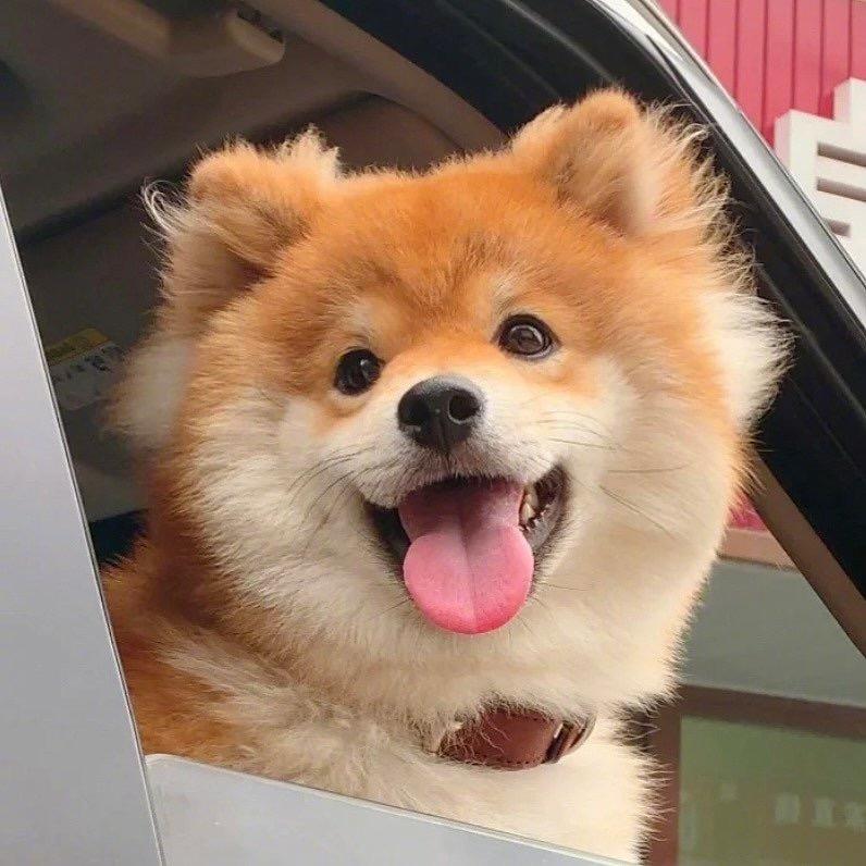 小陆追剧